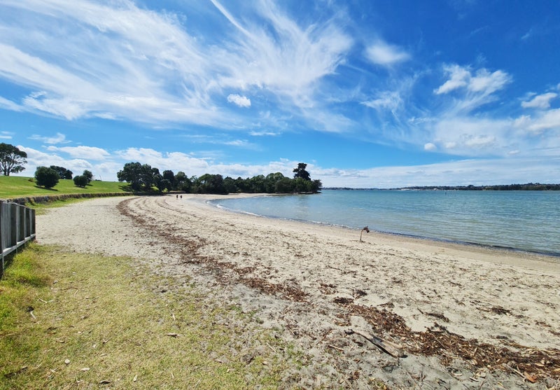 20 Tamatea Avenue, Point England, Auckland - Carousel 24