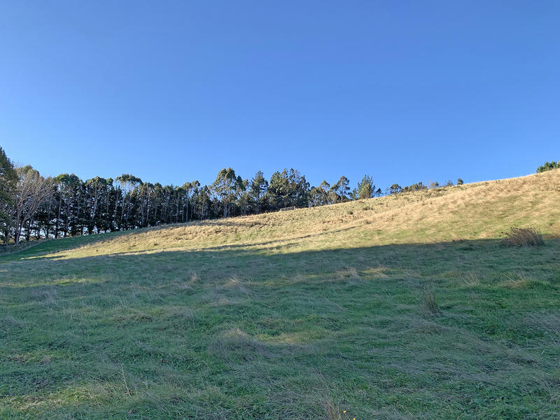 61 Short Cut Road, WAITATI, Waitati - Carousel 10