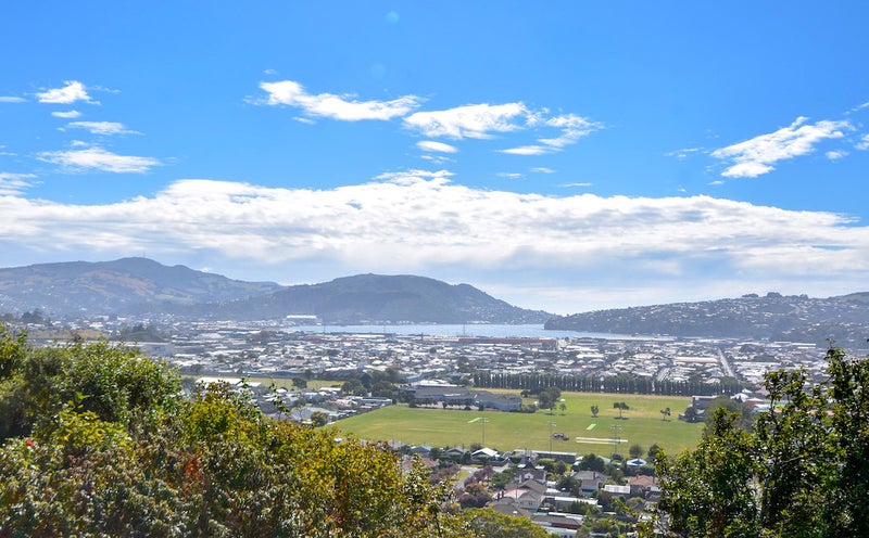 115 Easther Crescent, Kew, Dunedin - Carousel 1