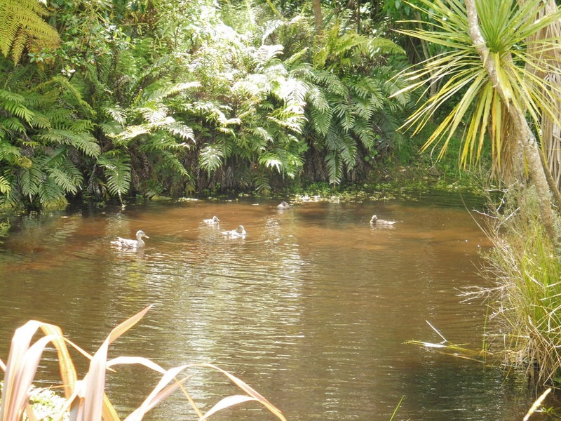 0 Manu Road, Okaiawa, Hawera - Carousel 12