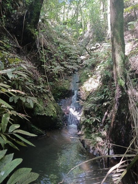 1710 Kohumaru Road, Peria - Carousel 33