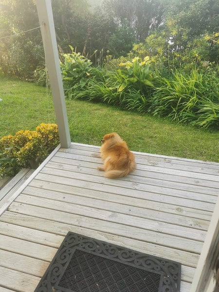 28 Forth Place, Papakowhai, Porirua - Carousel 6