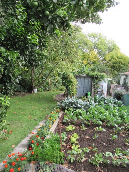 16 Marian Drive, Inner Kaiti, Gisborne - Carousel 19