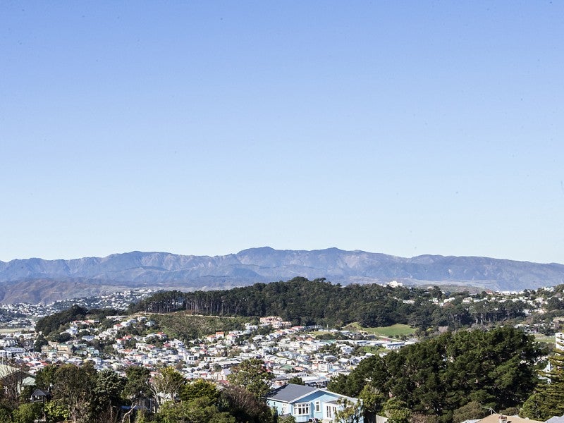 2 Moffitt Street, Vogeltown, Wellington - Carousel 22