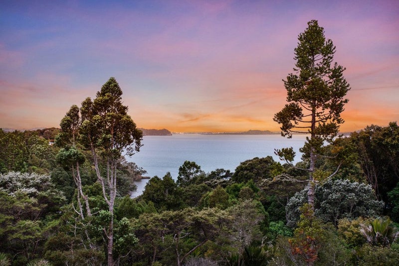 50 Tanekaha Road, Titirangi, Auckland - Carousel 2