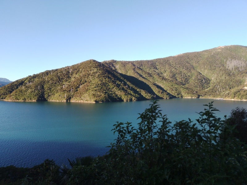 438 Port Underwood Road, Whatamango Bay, Picton - Carousel 29