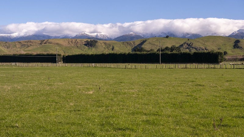 1003 State Highway 2, Mikimiki, Ōpaki - Carousel 12