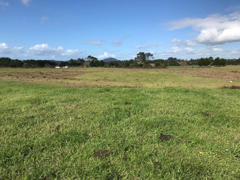 0 State Highway 1, Houhora, Pukenui - Carousel 1