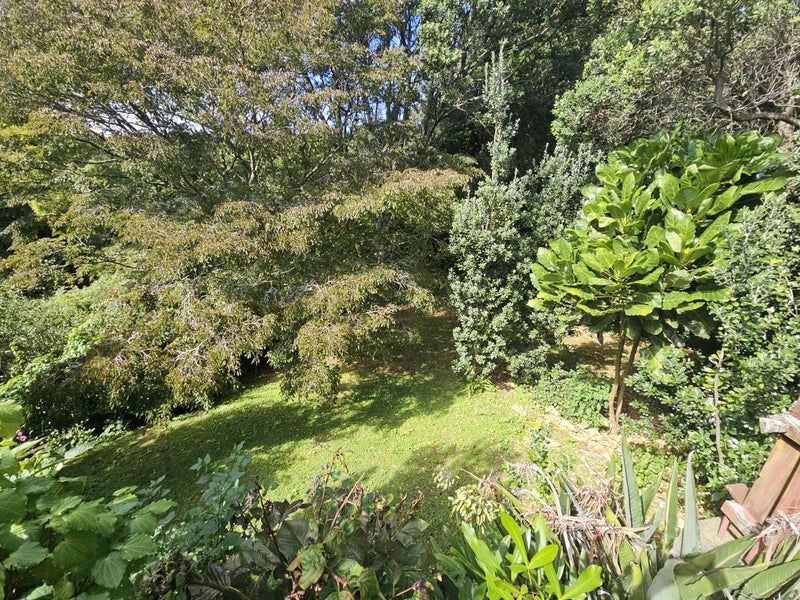 373A St Aubyn Street, Moturoa, New Plymouth - Carousel 7