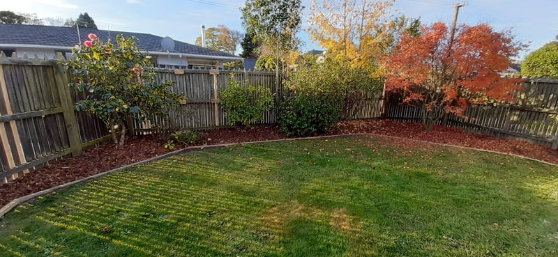 24 Stratford Street, Merivale, Christchurch - Carousel 1