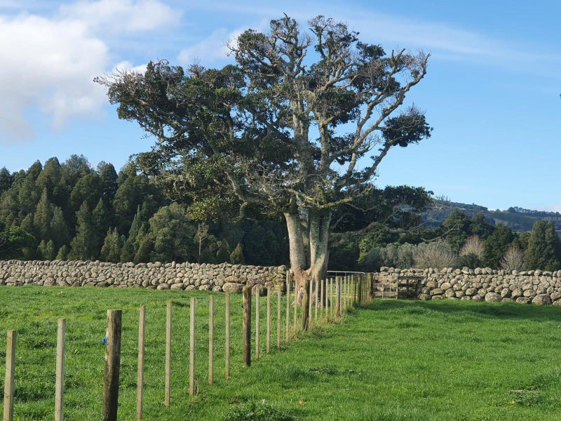 121 Springs Road, Whangarei - Carousel 2