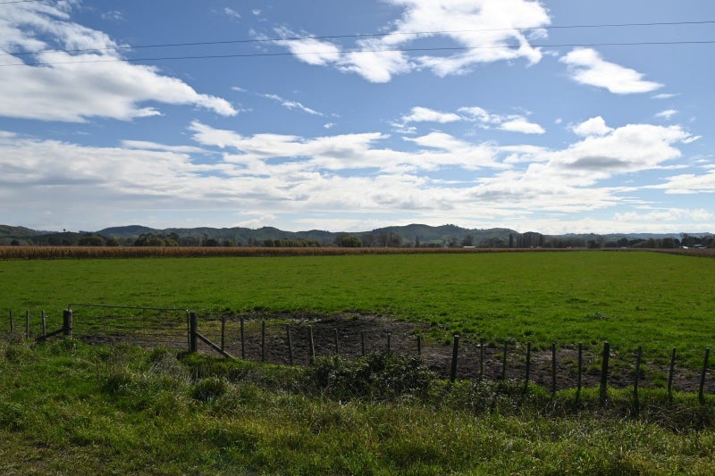 7 Waihirere Road, Wairoa, Wairoa - Carousel 3