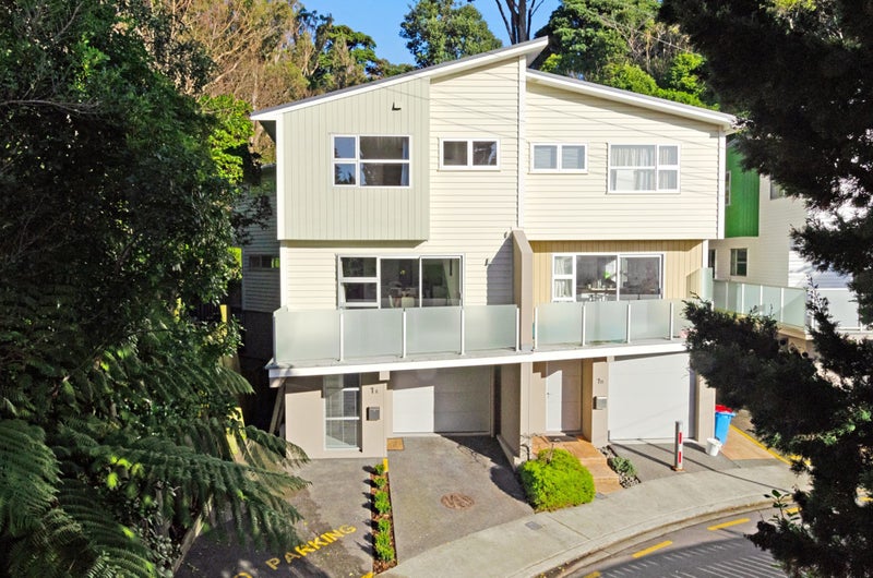 1A Anderson Terrace, Mount Cook, Wellington - Carousel 1