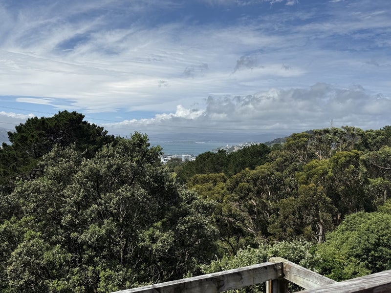 1/59 Mortimer Terrace, Brooklyn, Wellington - Carousel 25