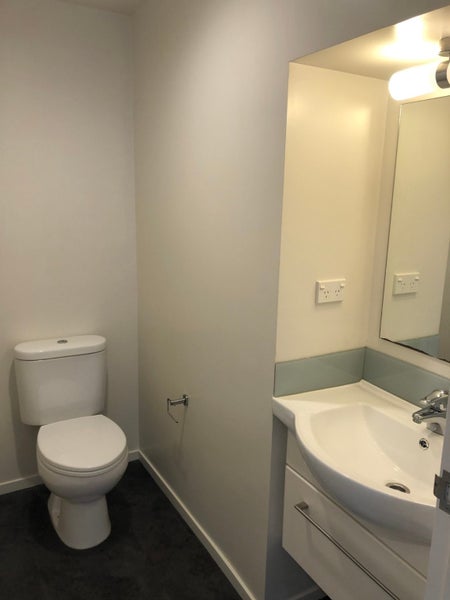 1/2 Torrens Terrace, Mount Cook, Wellington - Carousel 11