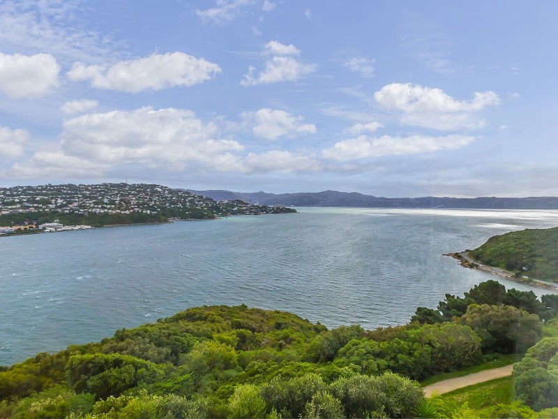 31 Kaikoura Street, Maupuia, Wellington - Carousel 2