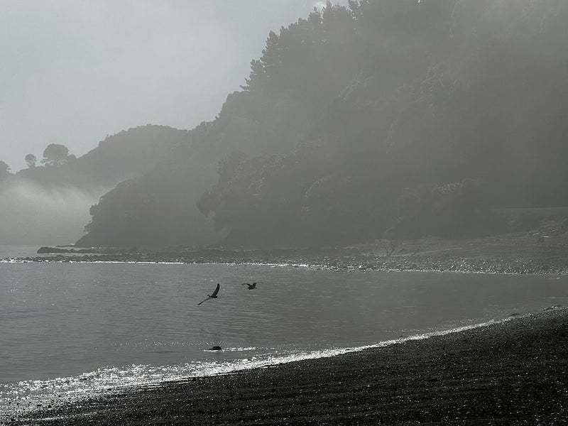 4 Jean Road, Te Mata, Thames - Carousel 23