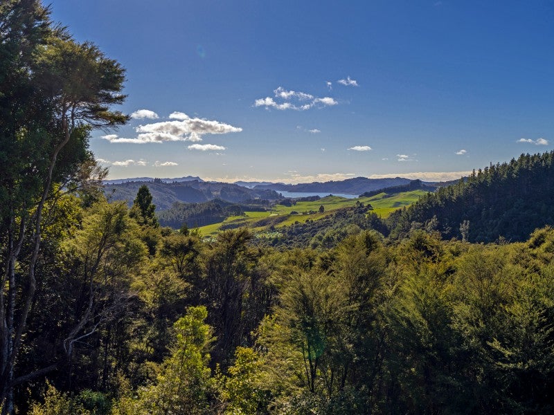 415A Mill Creek Road, Kaimarama, Whitianga - Carousel 2