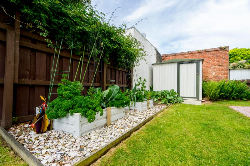 227 Bay View Road, Saint Clair, Dunedin - Carousel 21