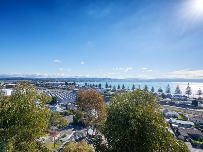40A Roslyn Road, Bluff Hill, Napier - Carousel 1