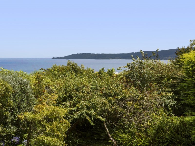 3 Mccauley Grove, Hilltop, Taupo - Carousel 18