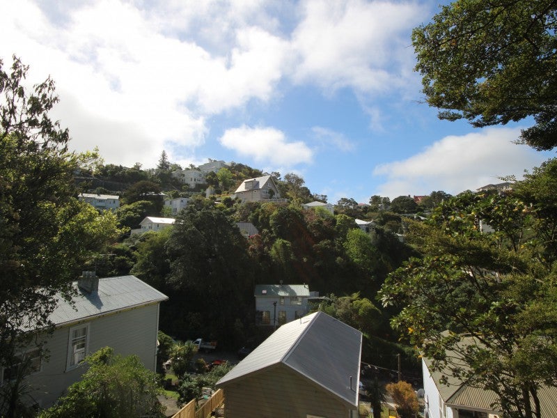 79 Raroa Road, Aro Valley, Wellington - Carousel 8