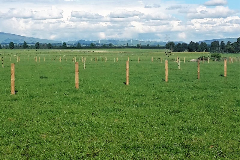 0 Camerons Line, Aorangi, Feilding - Carousel 1