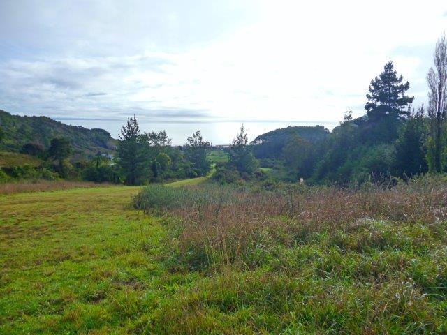 93 Matenga Road, Takaka - Carousel 9