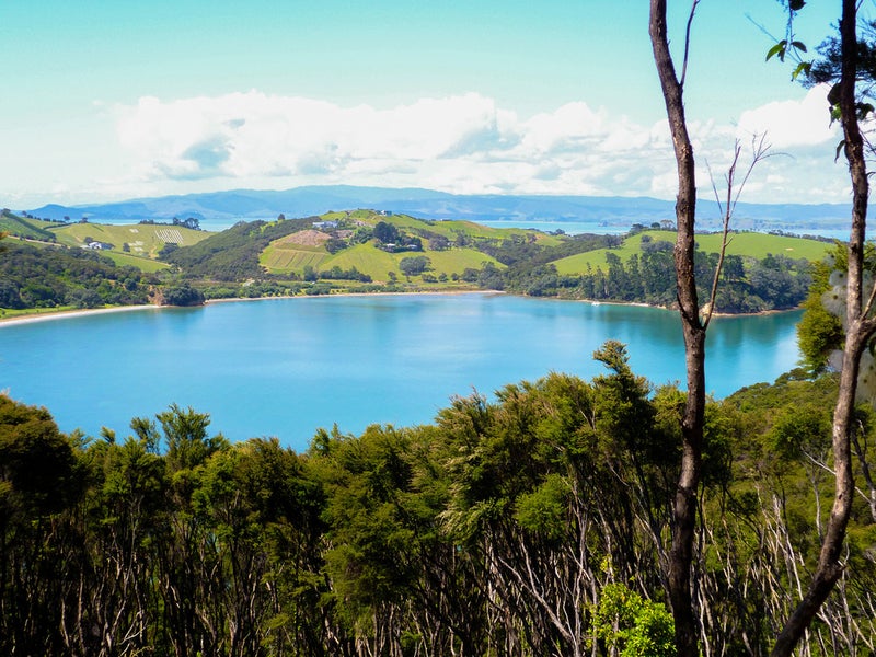 30 Bella Vista Road, Omiha, Waiheke Island - Carousel 1