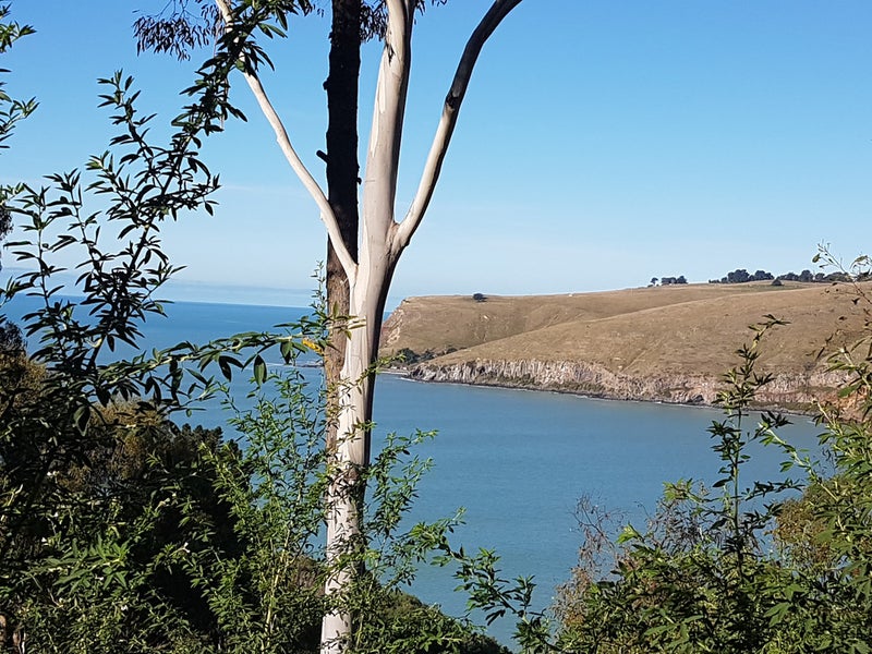 151 Taylors Mistake Road, Te Onepoto / Taylors Mistake, Christchurch - Carousel 2