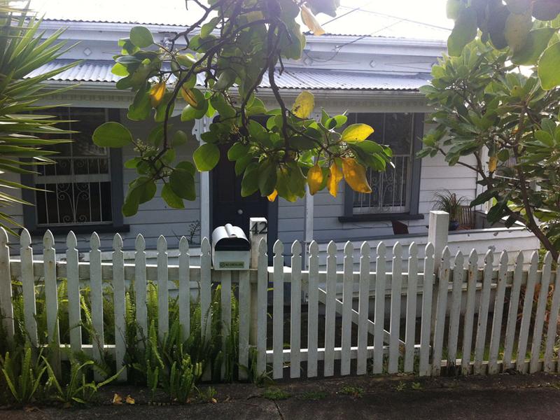 42 Kingsland Avenue, Kingsland, Auckland - Carousel 1