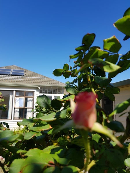 81 Wiggins Street, Sumner, Christchurch - Carousel 7