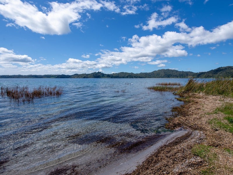 313 State Highway 30, Lake Rotoma - Carousel 20