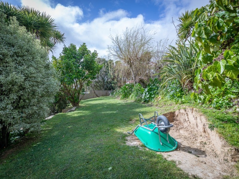 55 Tweed Road, Papakowhai, Porirua - Carousel 21