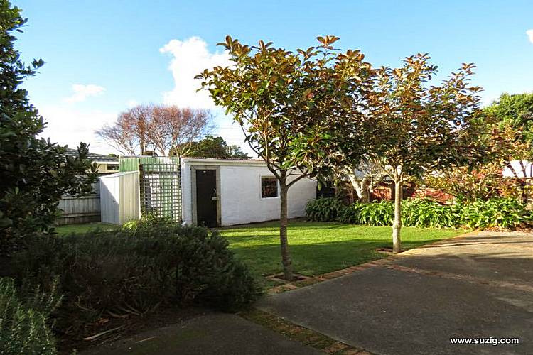 45 Adelaide Street, Petone, Lower Hutt - Carousel 19