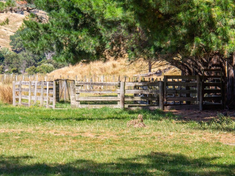 5645 Masterton Castlepoint Road, Tinui - Carousel 18