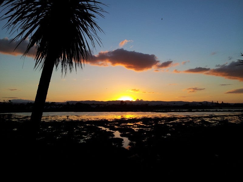 62A Fir Street, Waterview, Auckland - Carousel 20