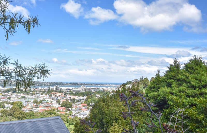 120 Pine Hill Road, Dalmore, Dunedin - Carousel 2