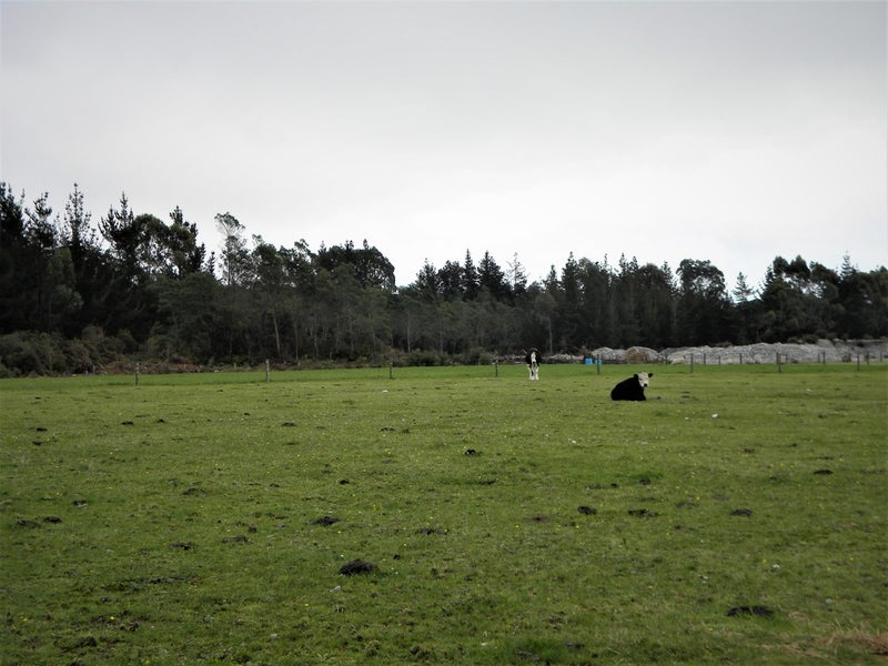 19E Mehrtens Road, Arahura Valley, Hokitika - Carousel 3