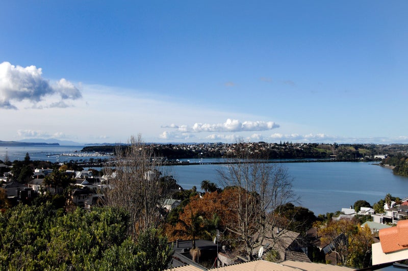 26A Brighton Road, Parnell, Auckland - Carousel 19