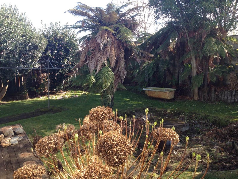 16 Susan Place, Deanwell, Hamilton - Carousel 7