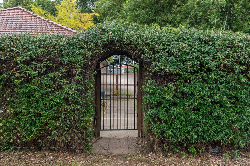 198 Grey Street, Hamilton East, Hamilton - Carousel 2