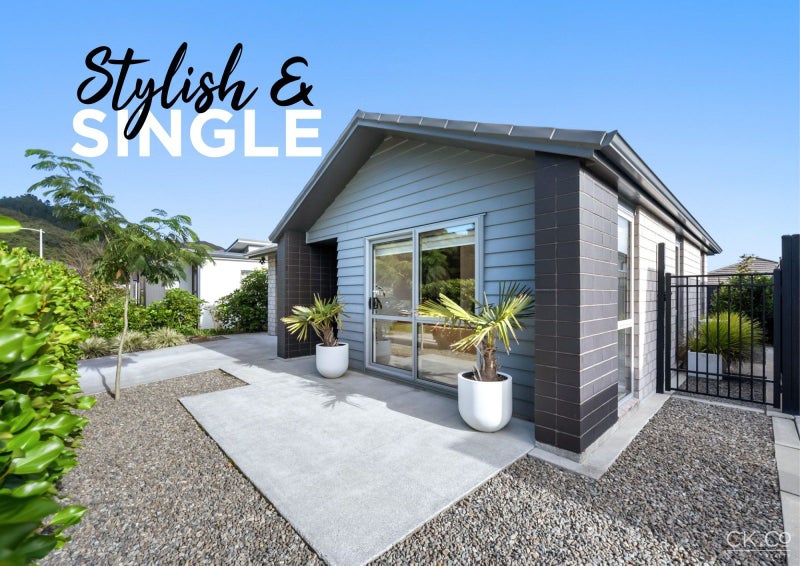 9 Pattullo Crescent, Wallaceville, Upper Hutt - Carousel 1