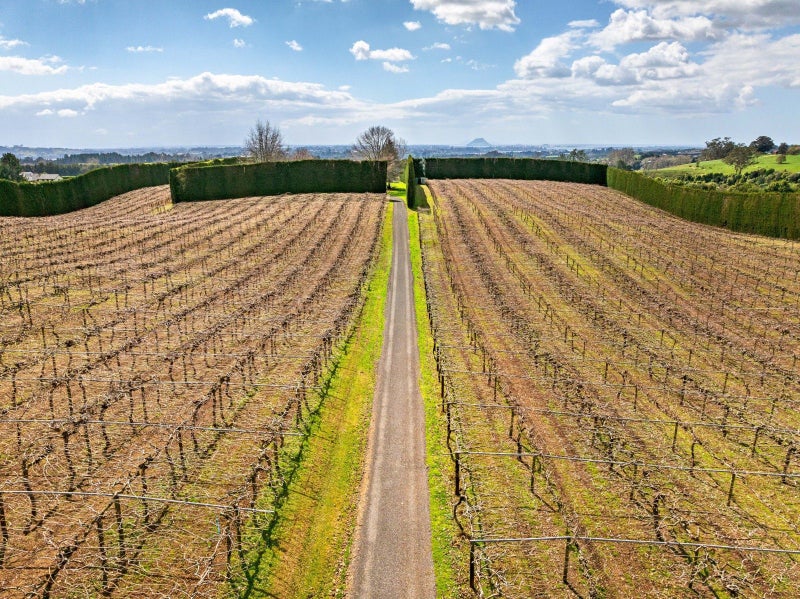 85B Castles Road, Oropi, Tauranga - Carousel 23