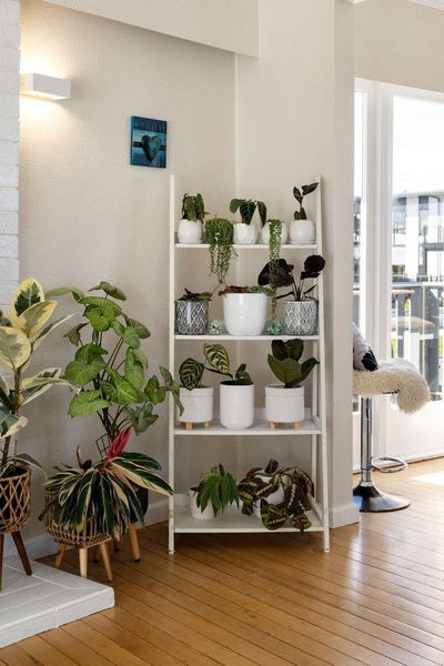 24 Thompson Street, Leamington, Cambridge - Carousel 33