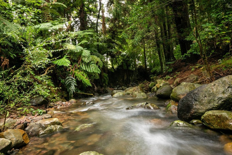 257 Willoughby Road, Tahawai, Katikati - Carousel 2