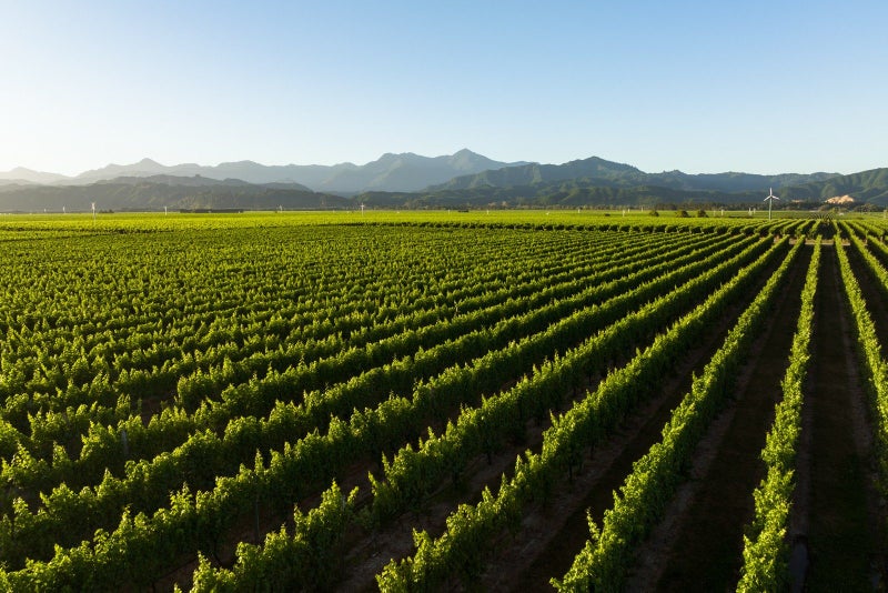 442 State Highway 1, Tamahere - Carousel 27