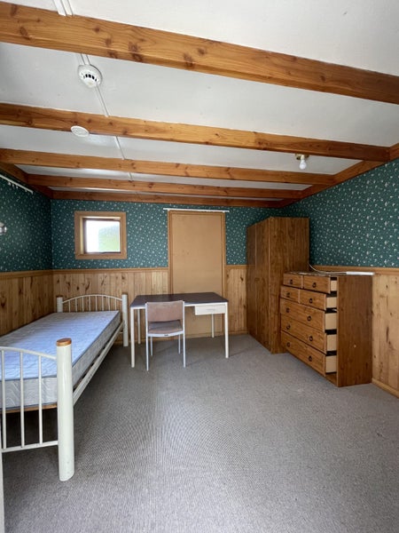 3 Union Street, North Dunedin, Dunedin - Carousel 8