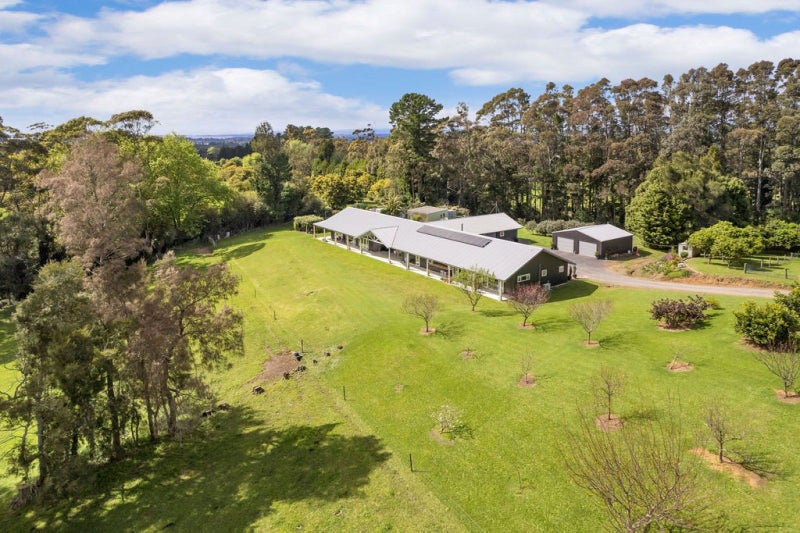 245 Wharawhara Road, Katikati - Carousel 29