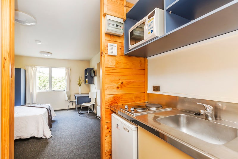 11/4 Sussex Street, Mount Cook, Wellington - Carousel 1